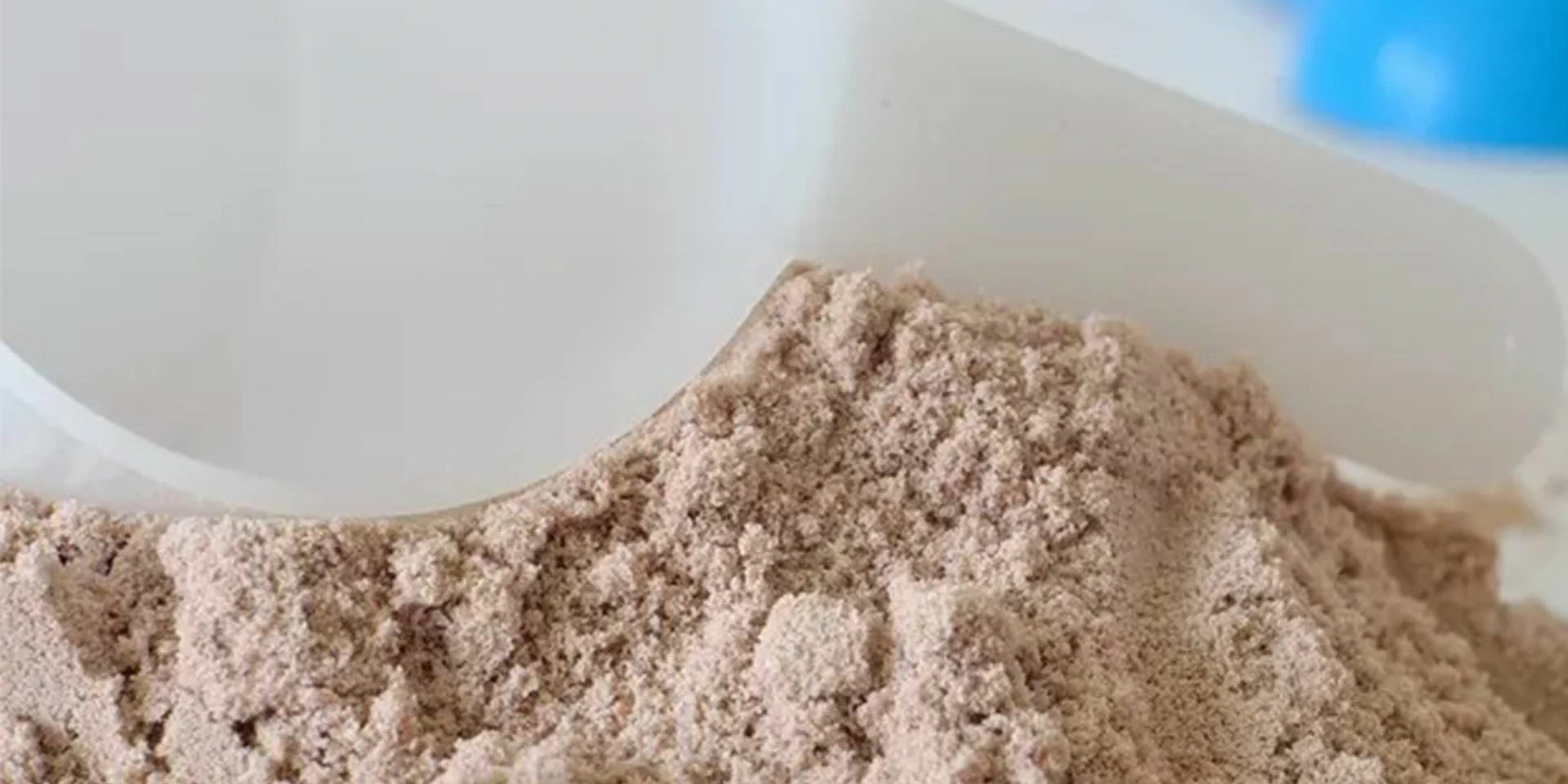 Soy Protein Powder