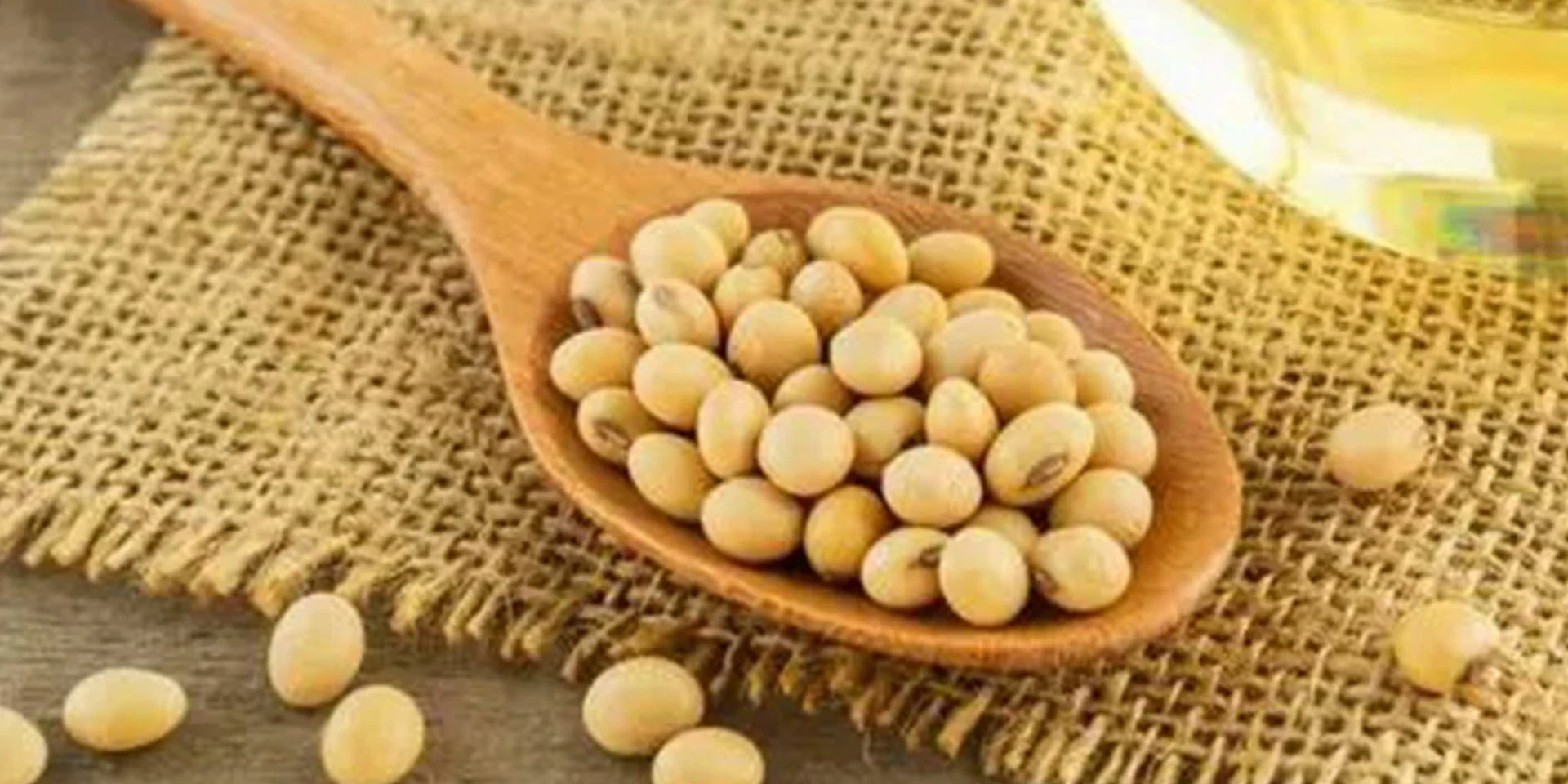 Soybean