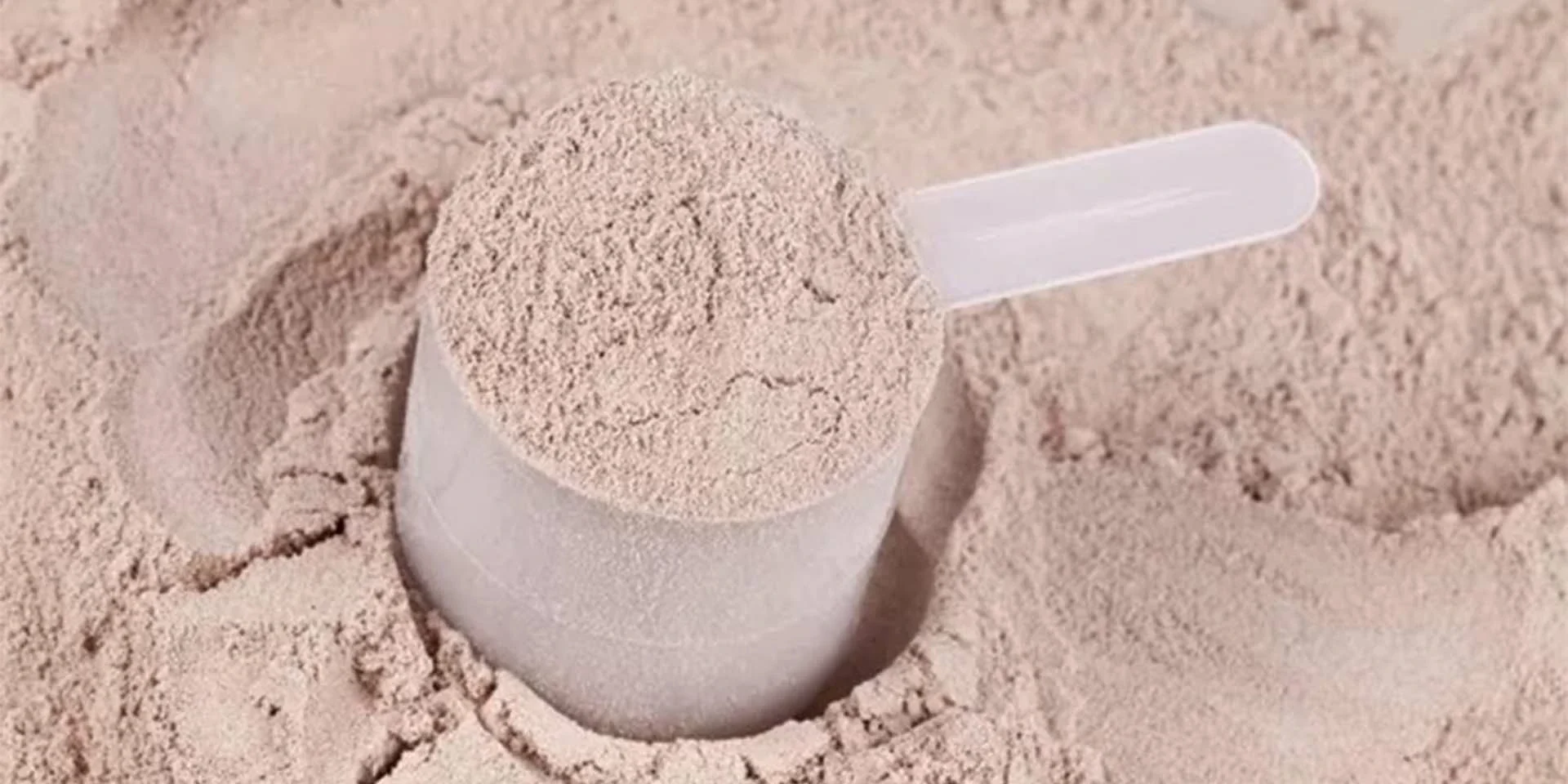 Whey Protein