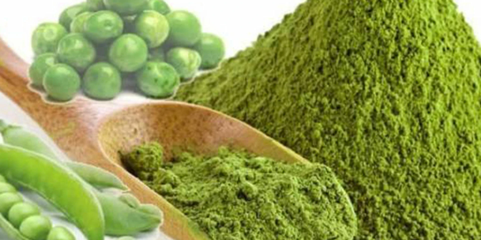 pea protein