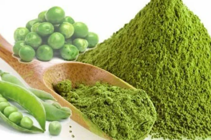 pea protein