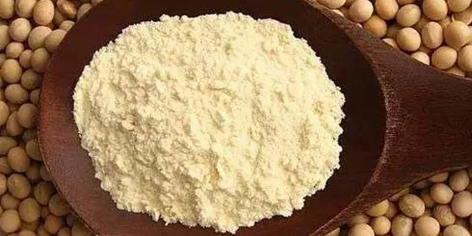 soy protein powder