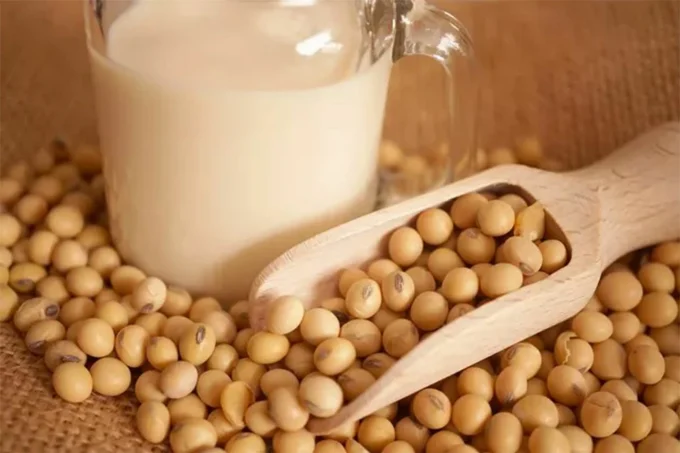 soybean protein soybean protein
