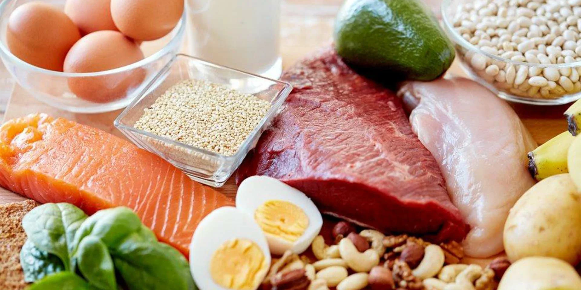 Animal protein Animal protein