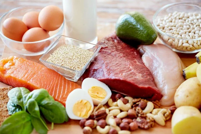 Animal protein