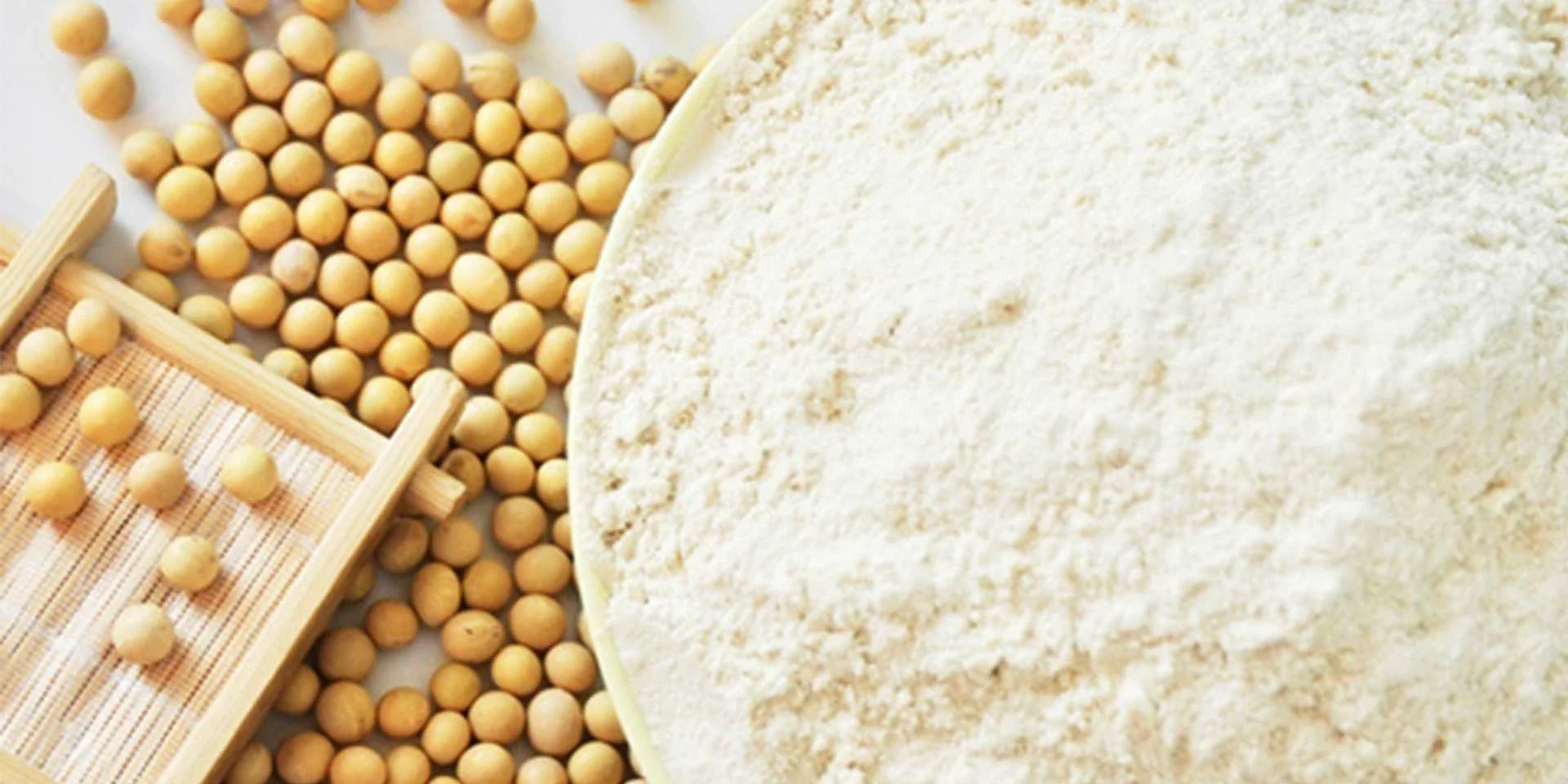 Isolated Soy Protein