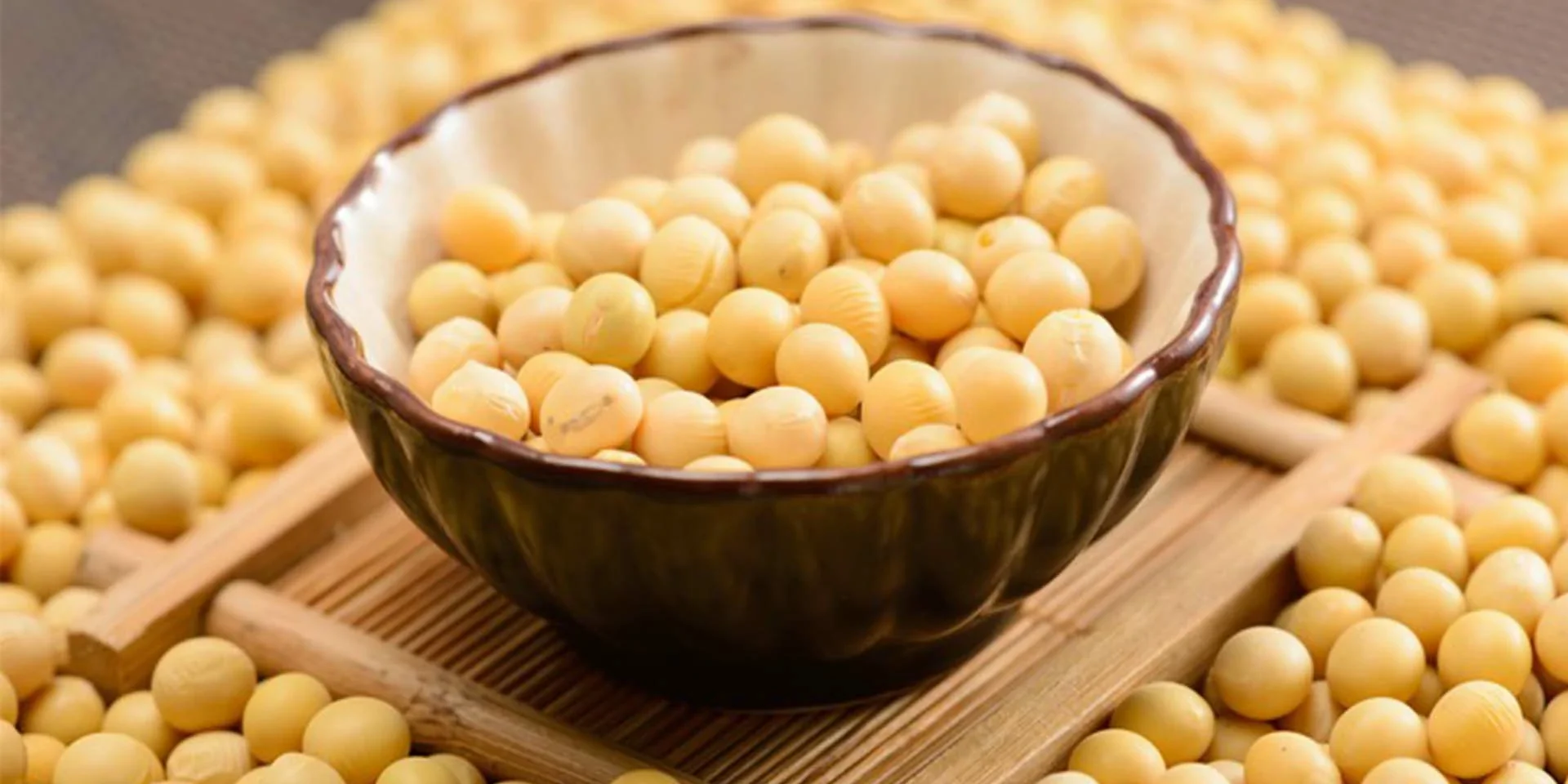 Isolated Soy Protein