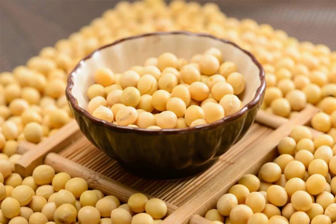 Isolated Soy Protein
