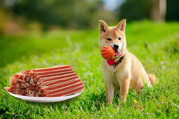 Pet food