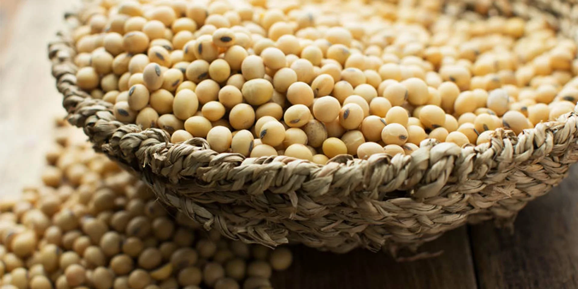 Soy protein Soy protein