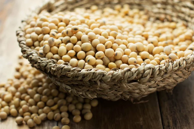 Soy protein
