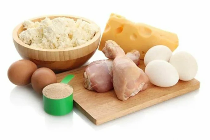 Soy protein and animal protein
