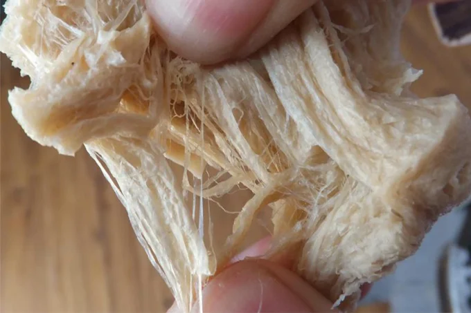 Soy silk protein Soy silk protein