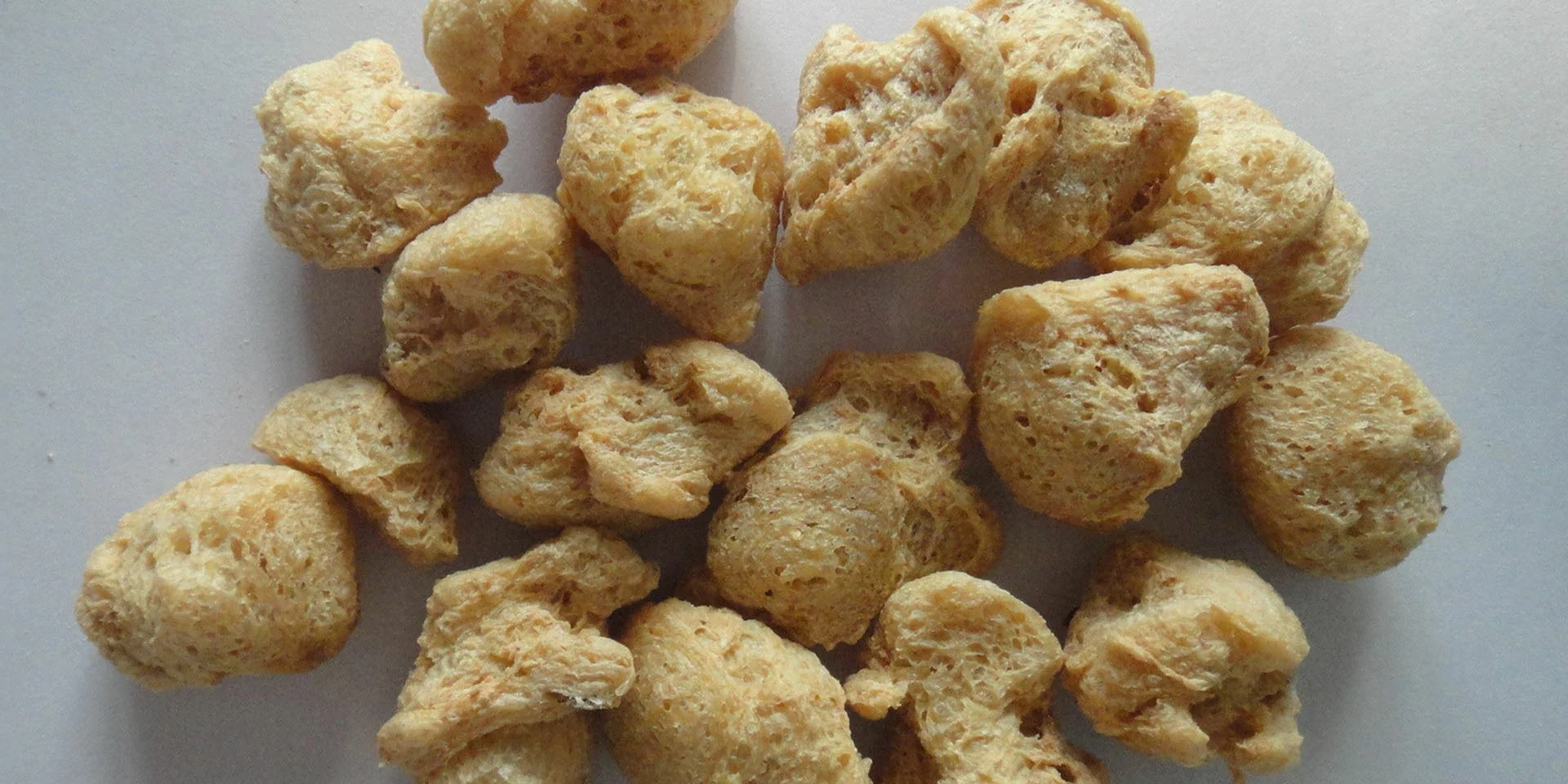 Textured Soy Protein