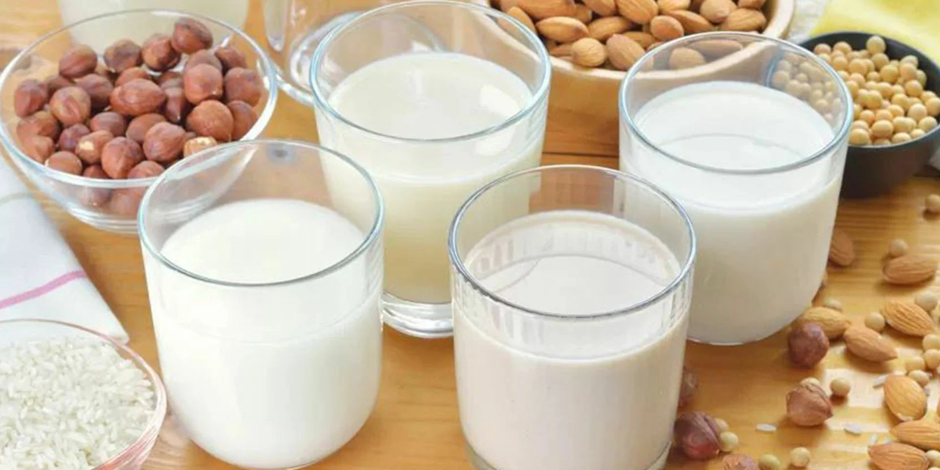plant protein plant protein