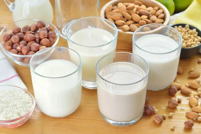 plant protein