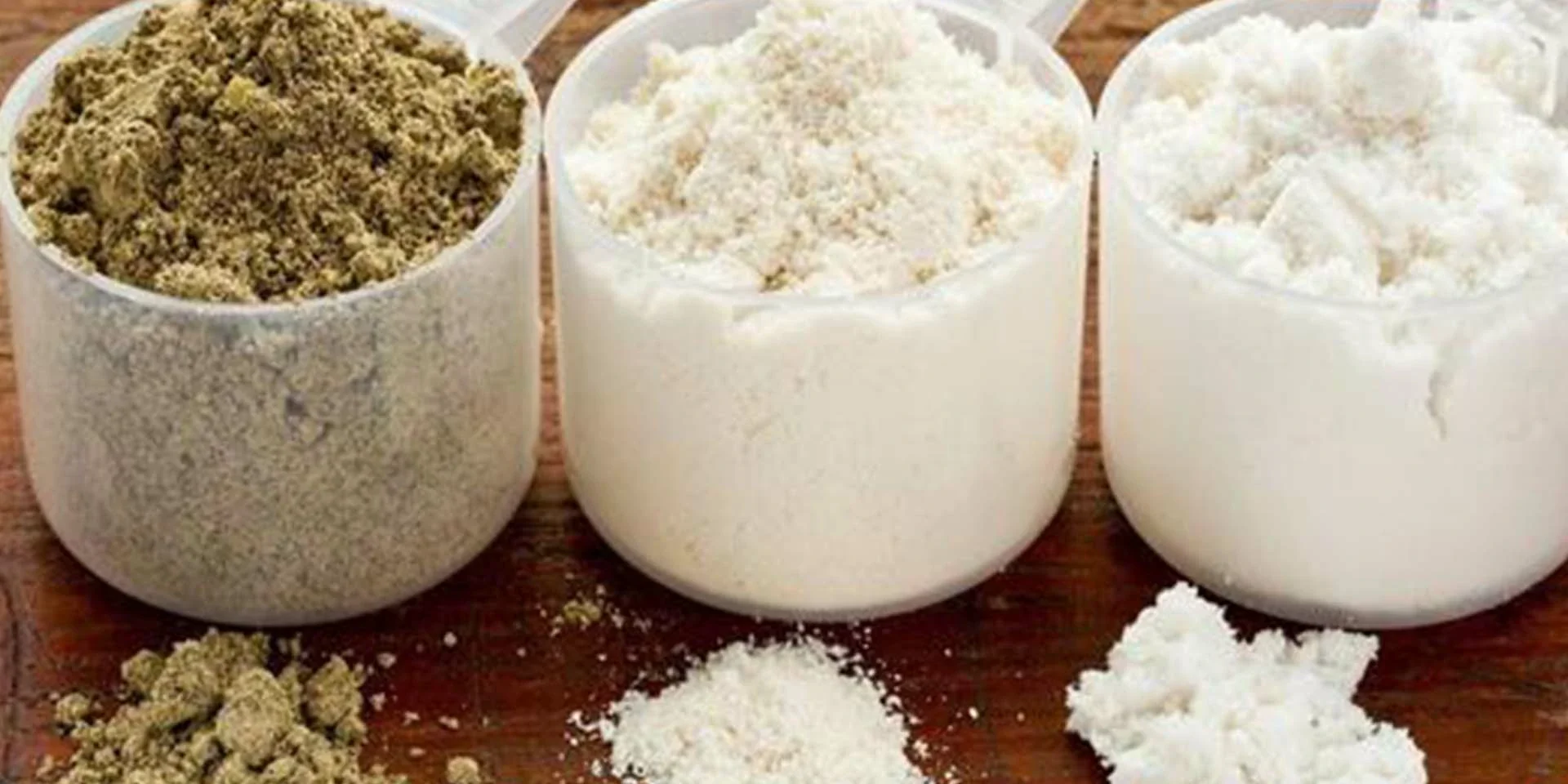 protein powder