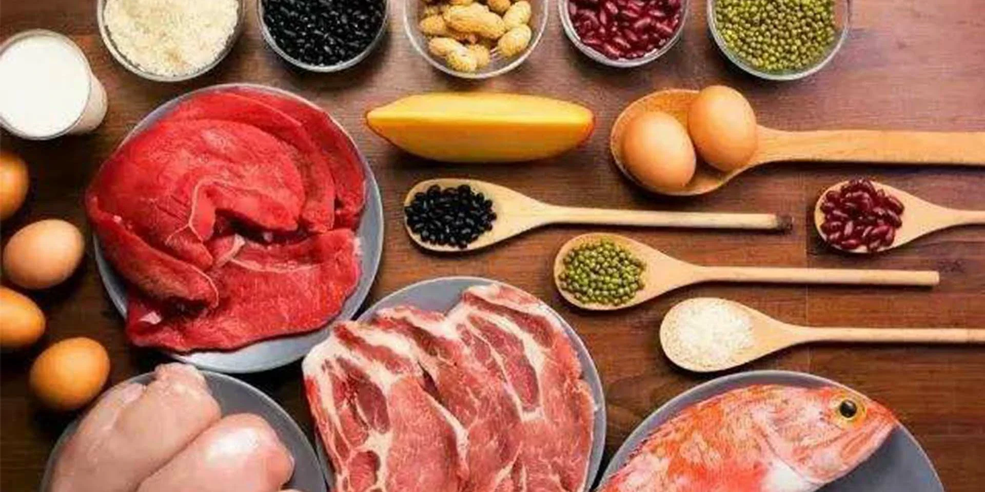 protein products