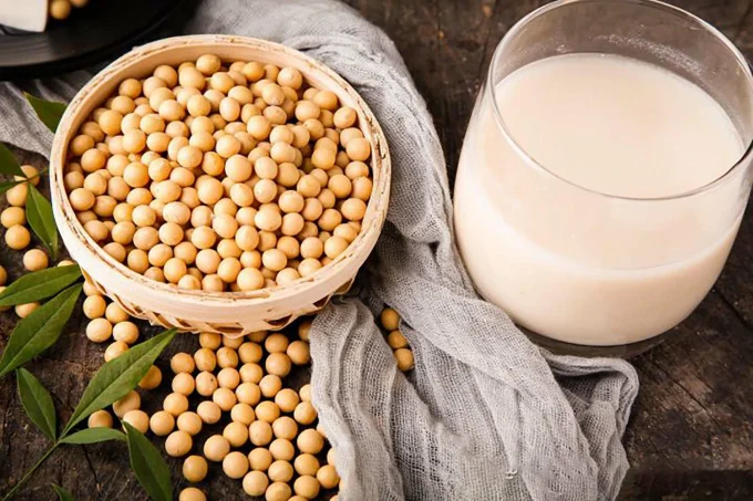 soy soy