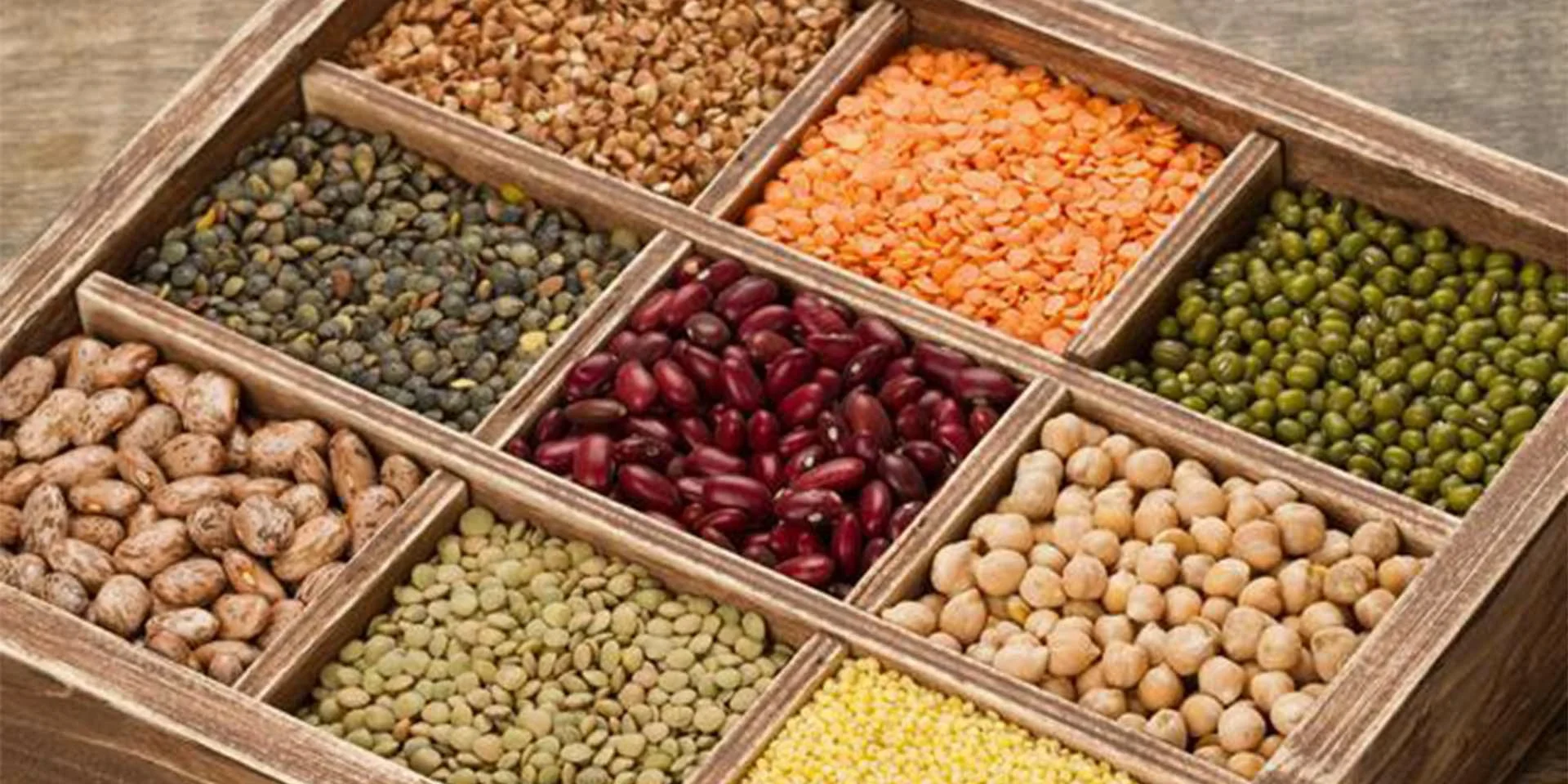 vegetable protein vegetable protein