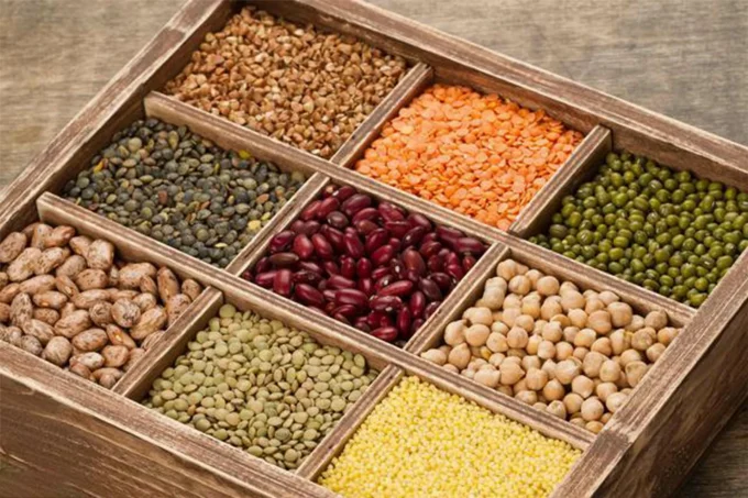 vegetable protein