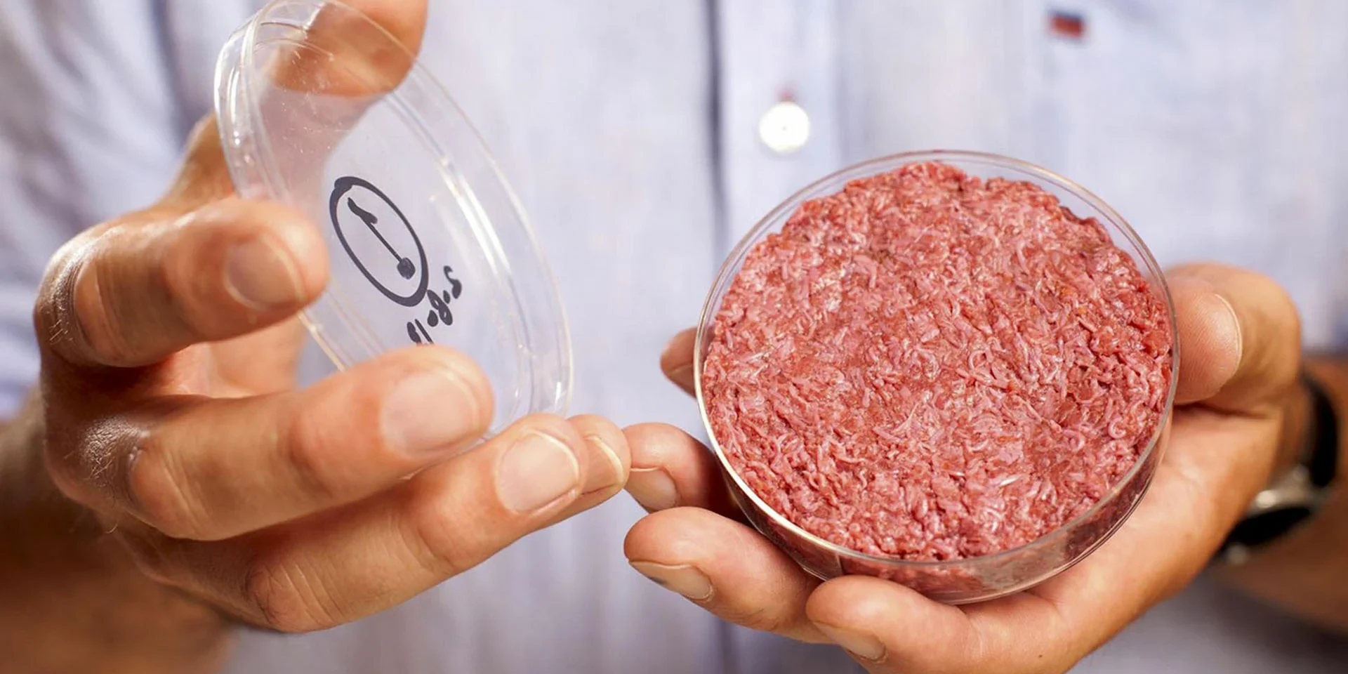 Artificial meat