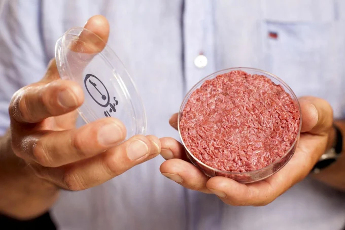 Artificial meat~1 Artificial meat
