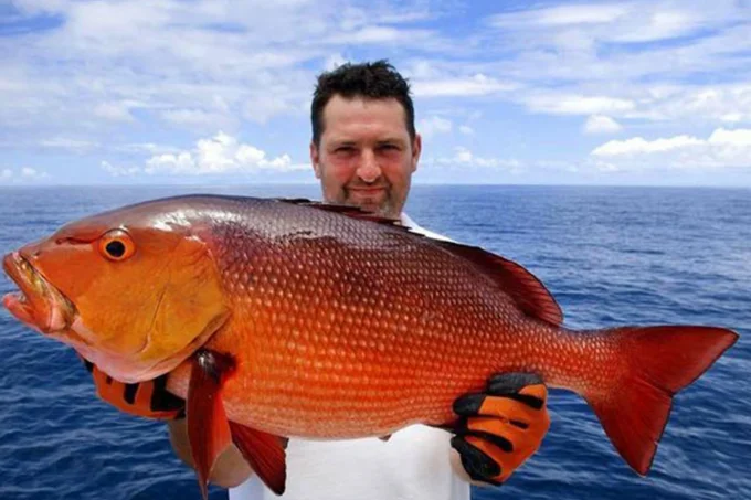 Fishes farming