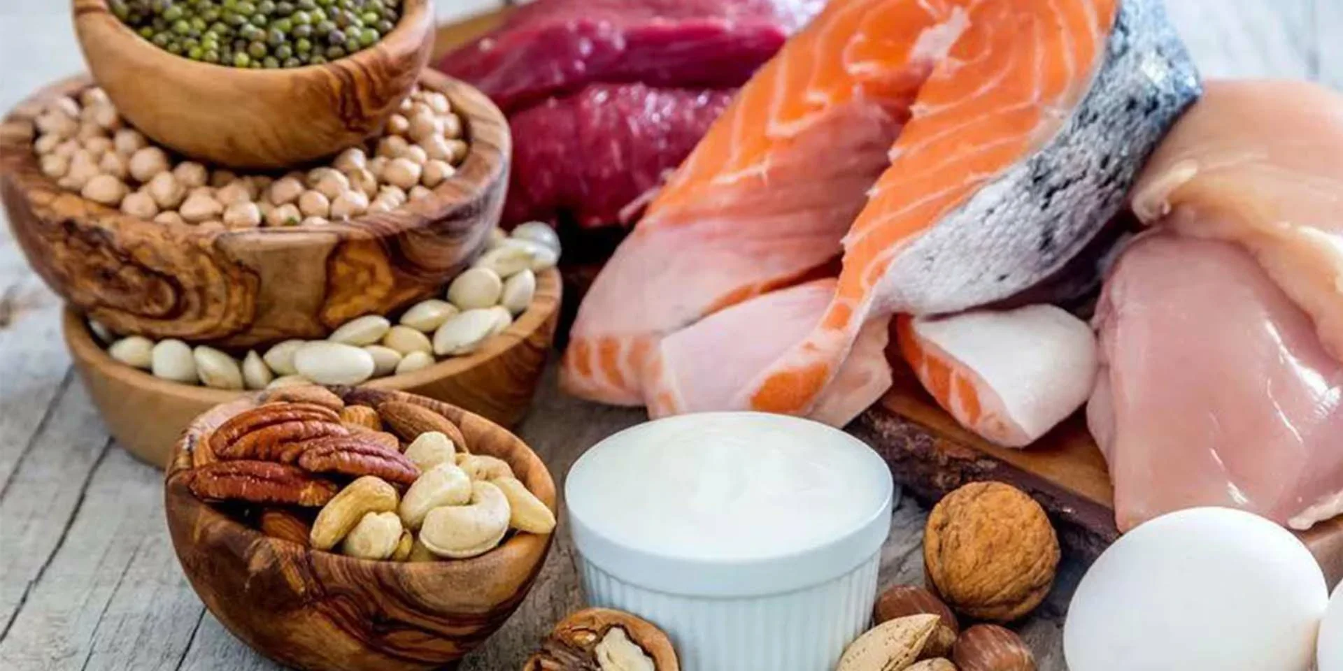 Plant protein and animal protein Plant protein and animal protein
