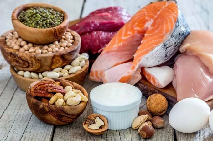 Plant protein and animal protein