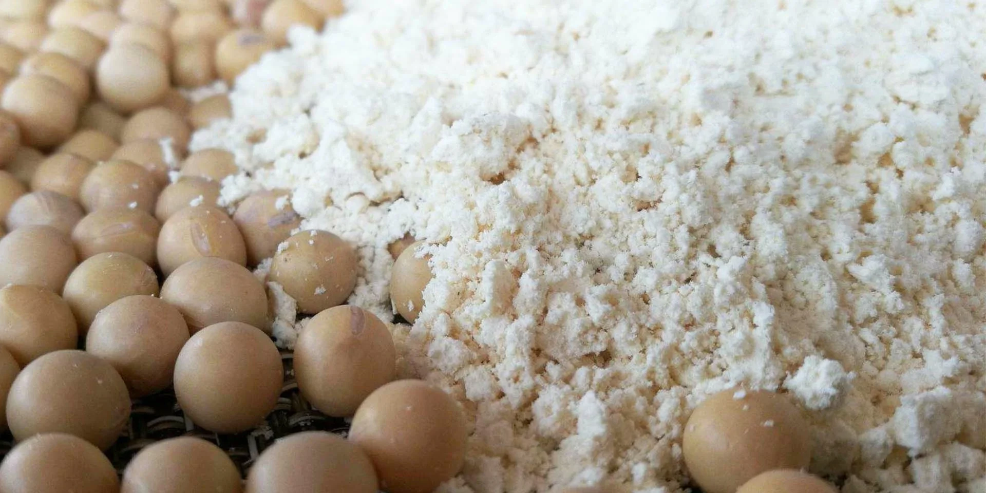 Soy-dietary-fiber
