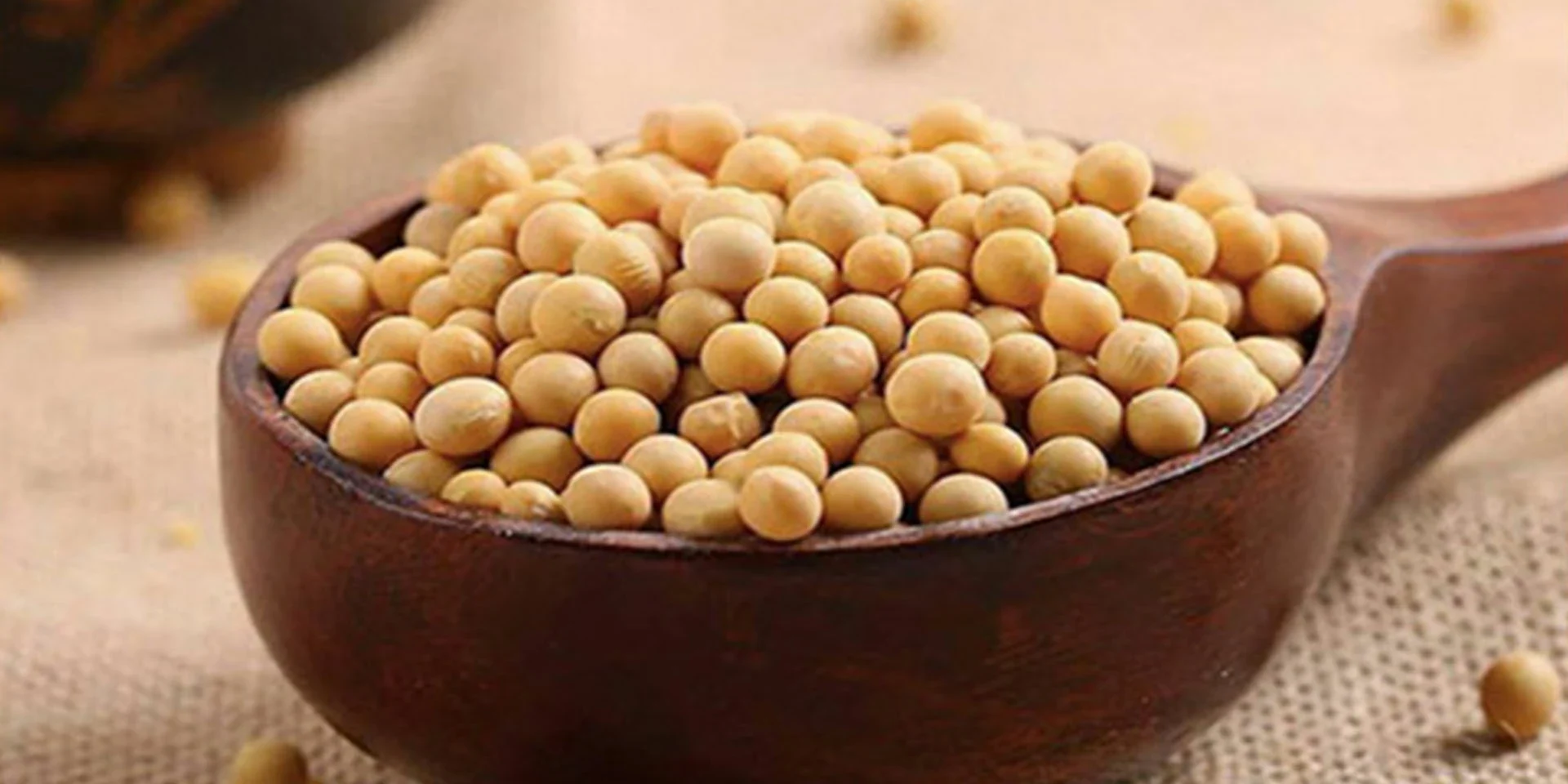 Soybean
