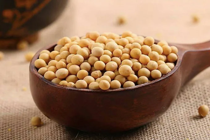 Soybean Soybean