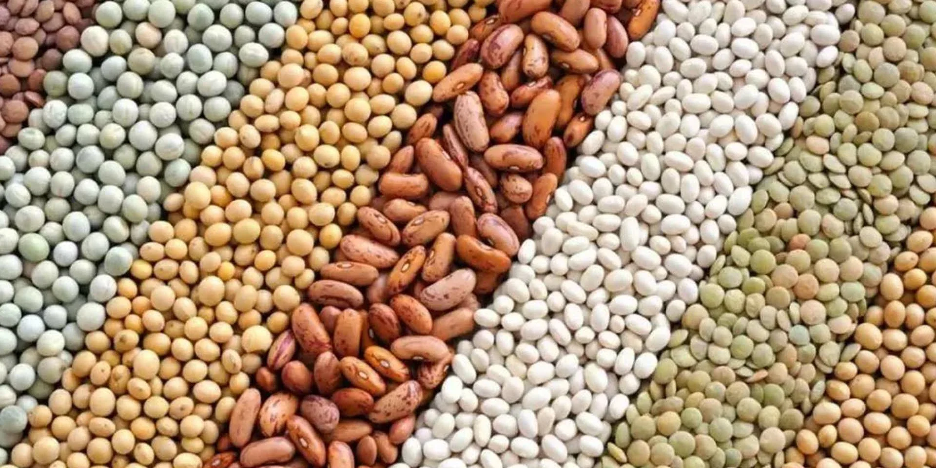 Soybeans