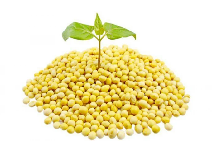 Textured vegetable protein