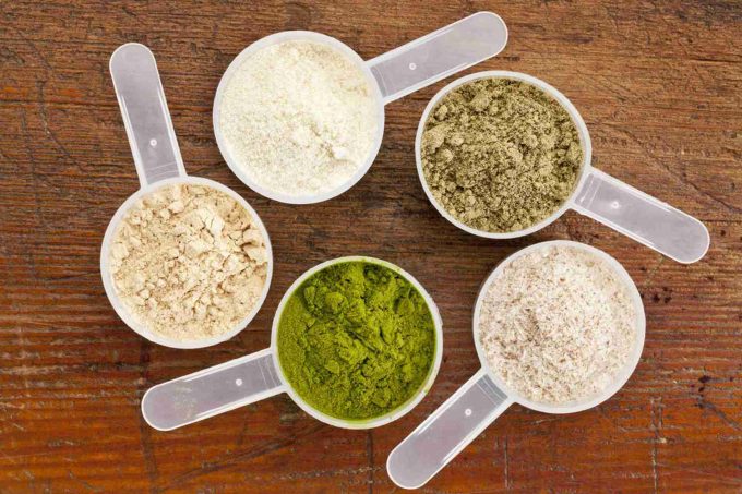 Vegetable protein powder VS animal protein powder