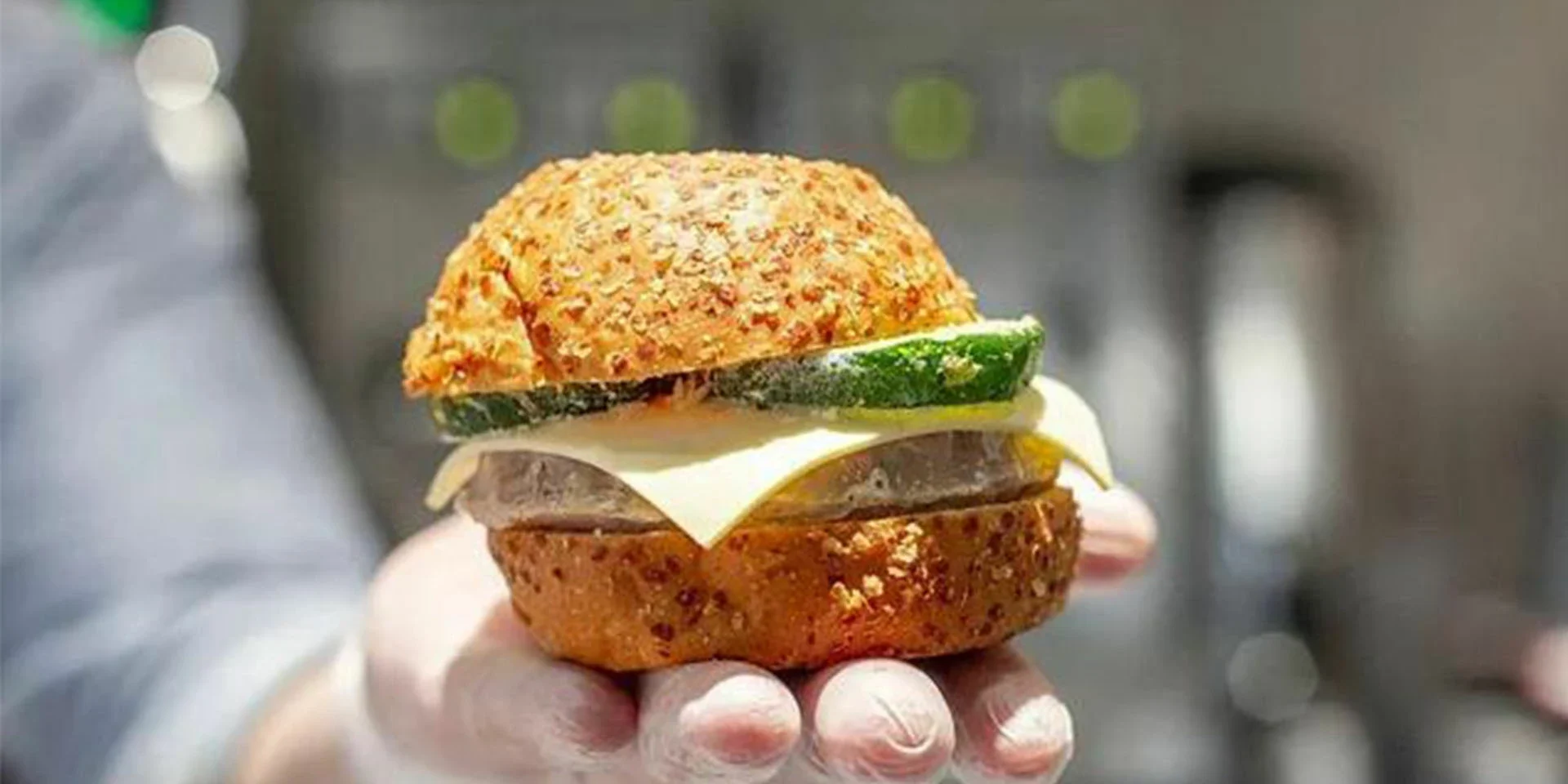 Vegetarian burger