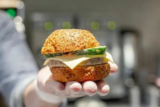 Vegetarian burger Vegetarian burger