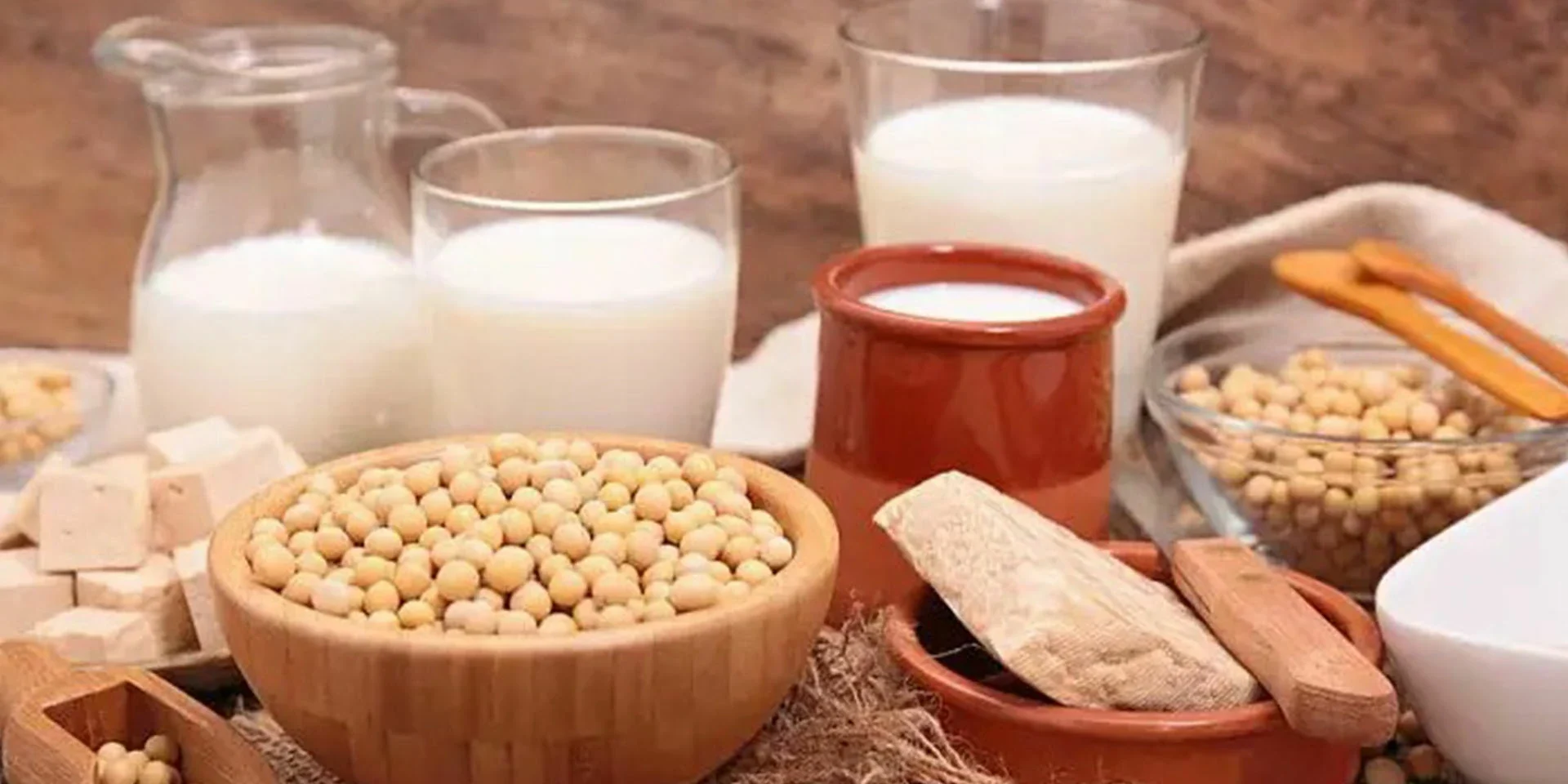 plant-based products plant-based products