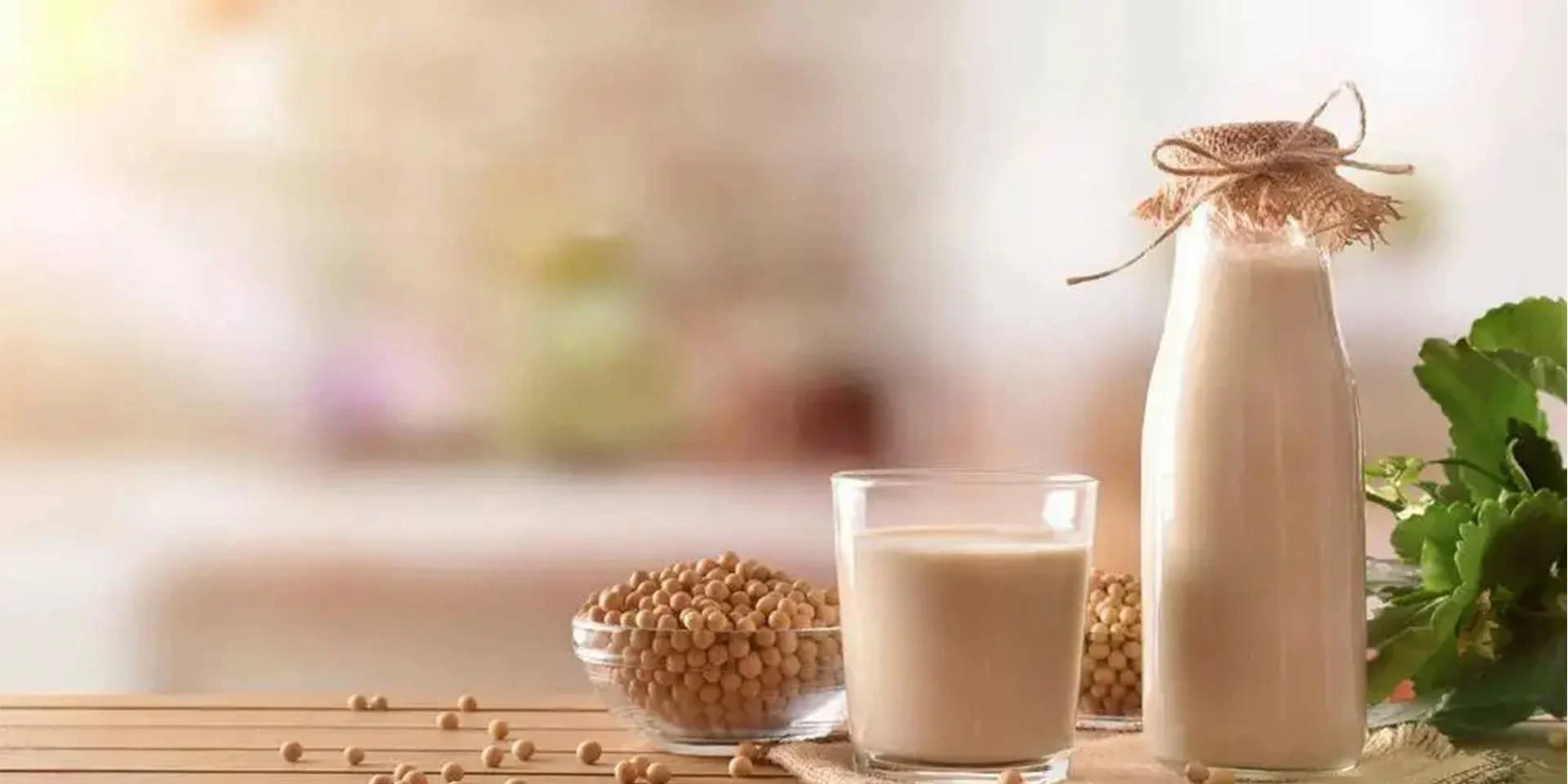 plant milk