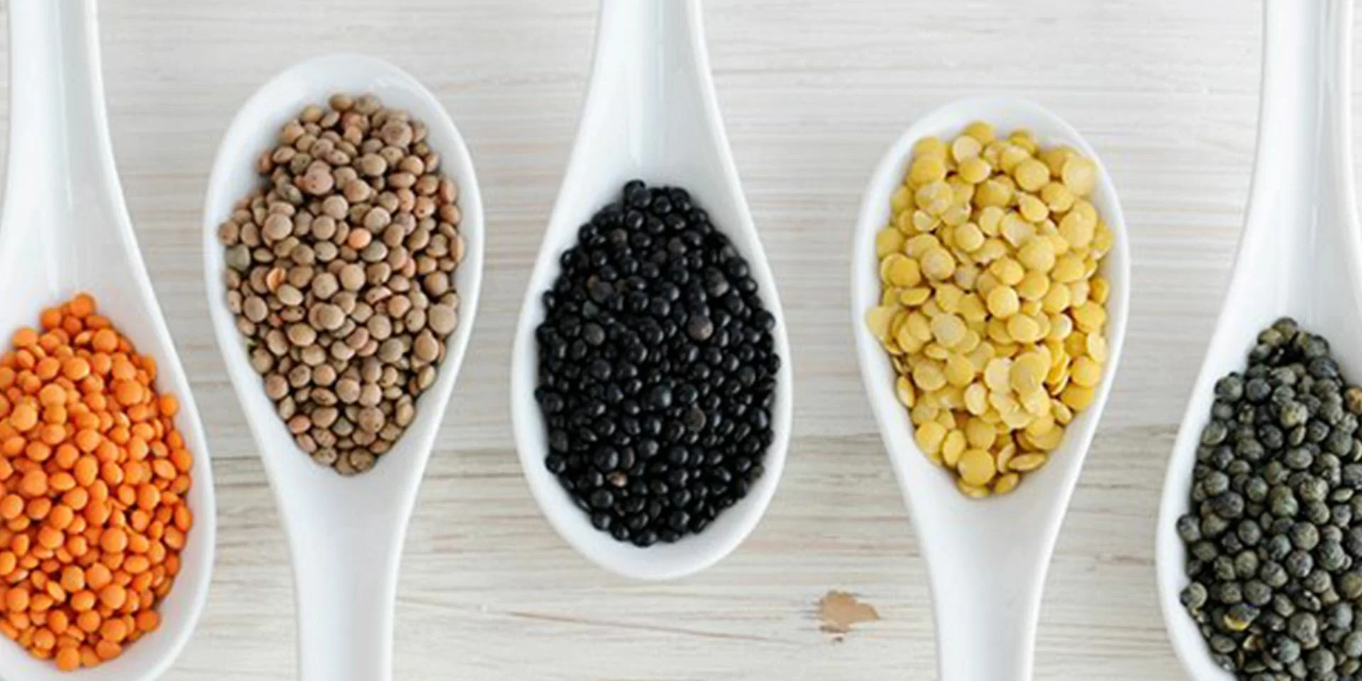 plant protein