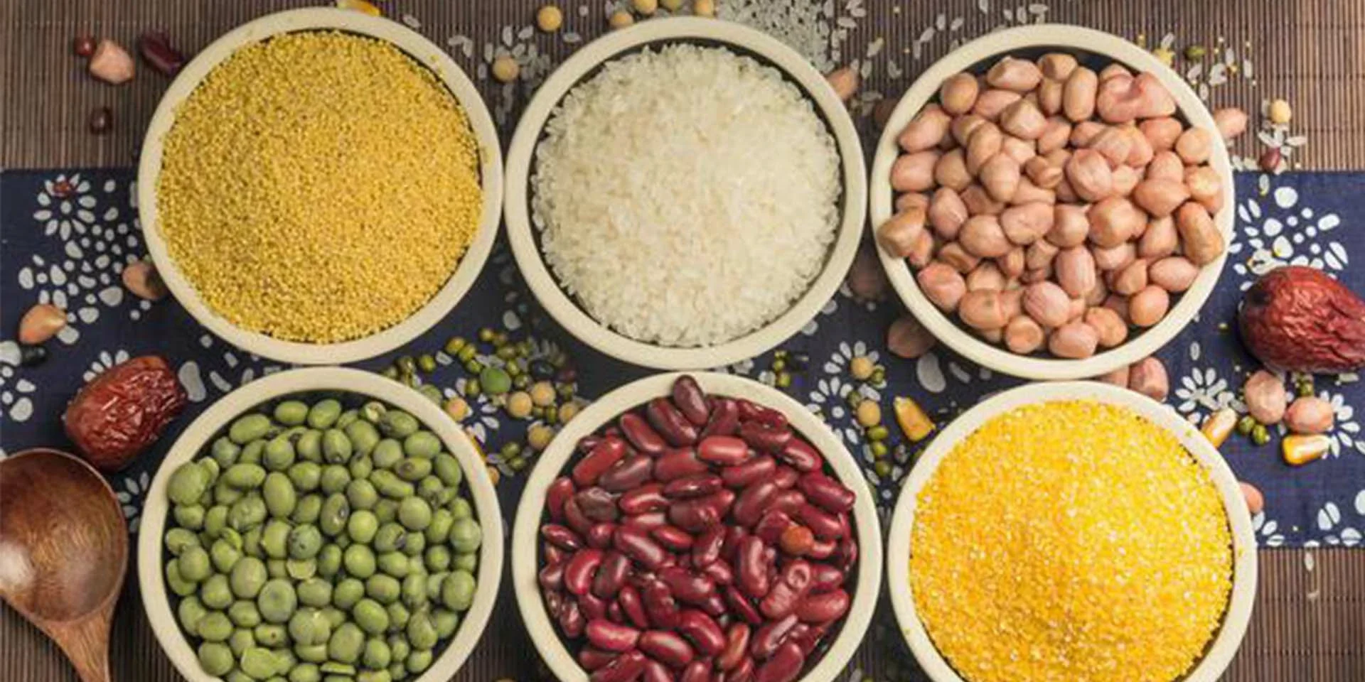 plant protein