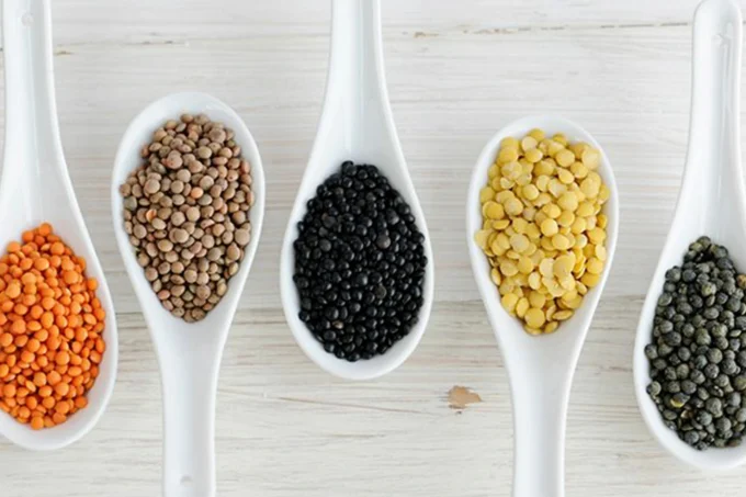 plant protein