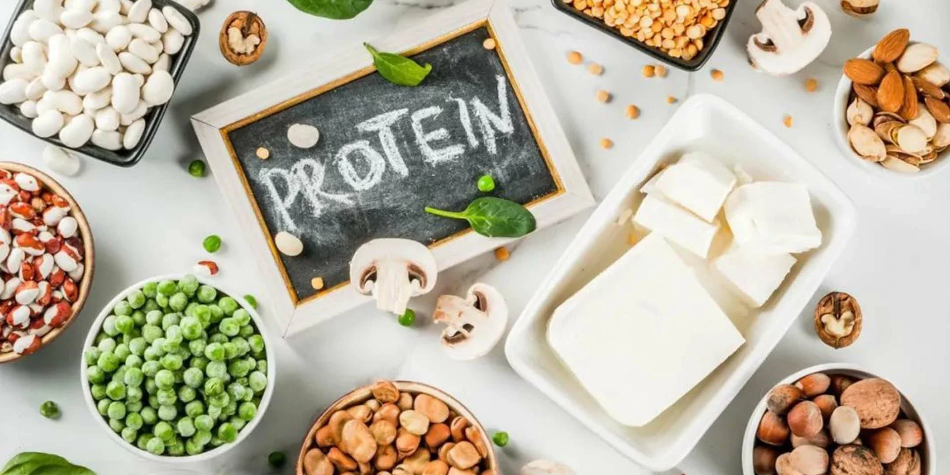 protein