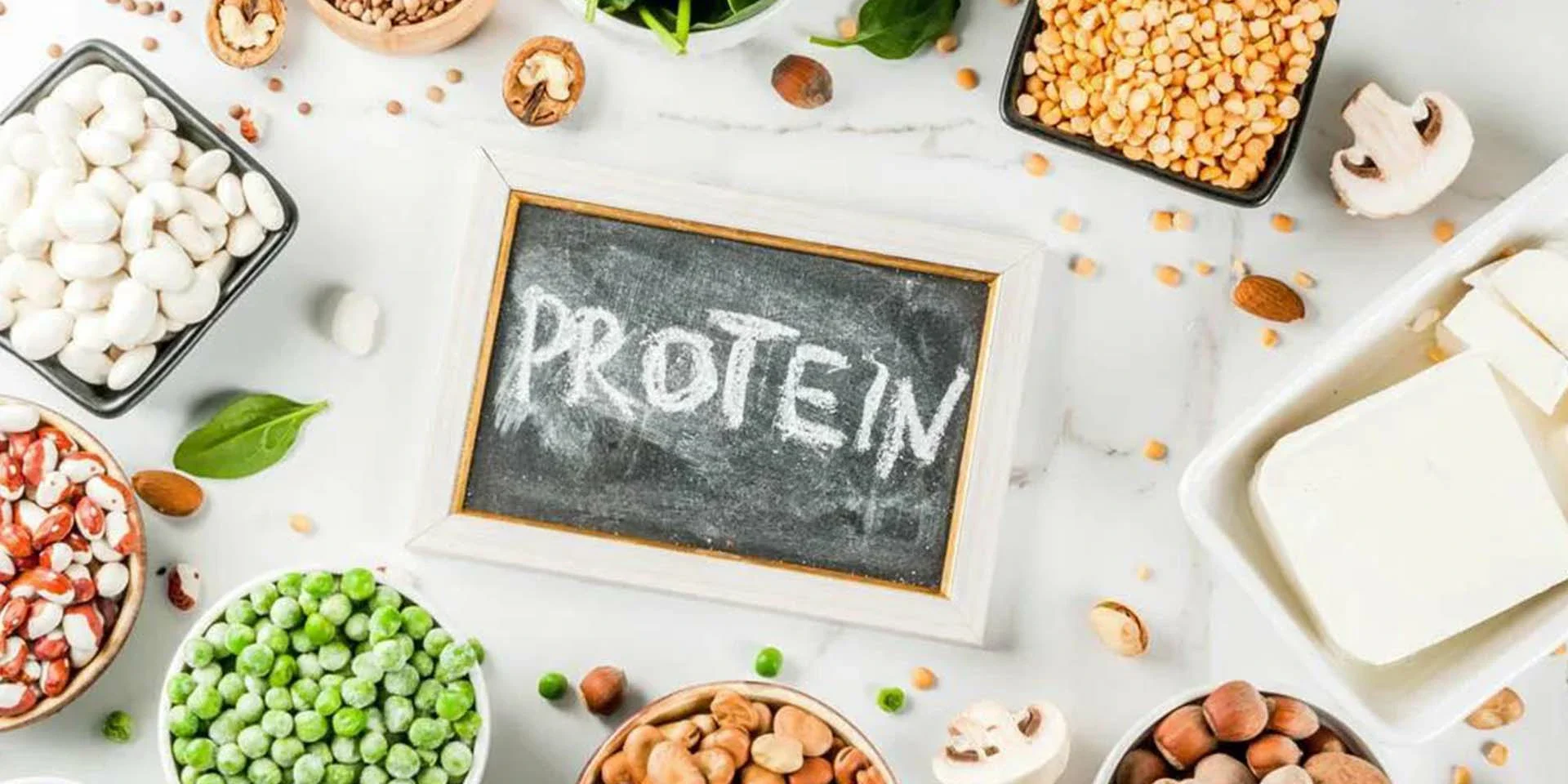 protein