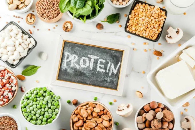 protein protein