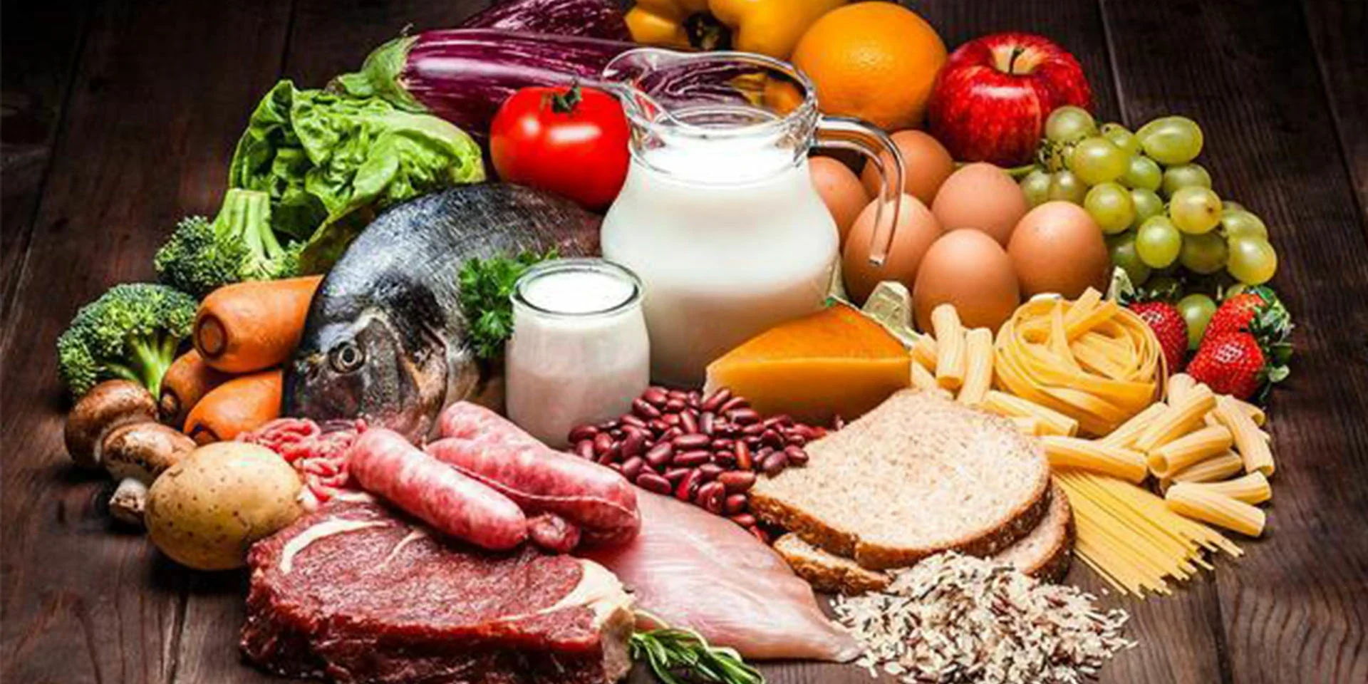 protein protein