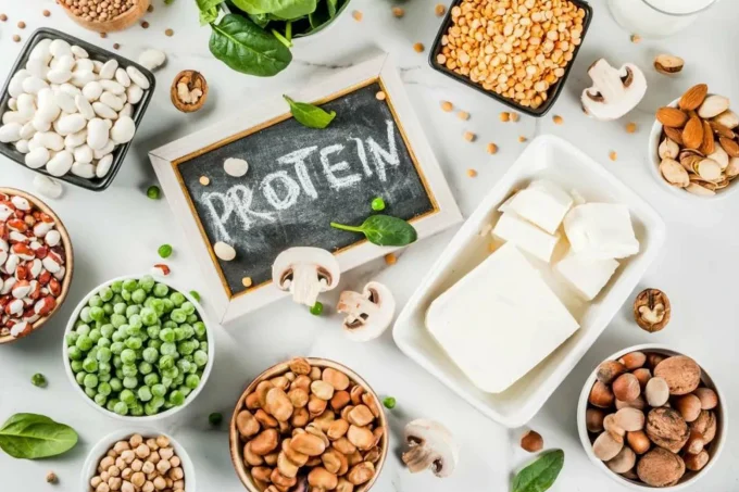 protein