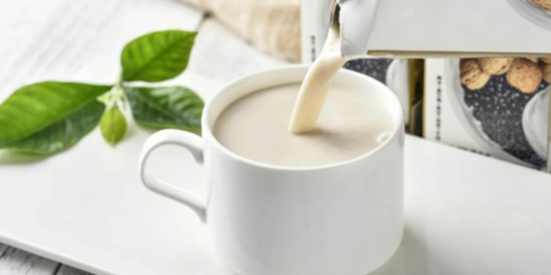 soy protein