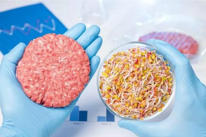 Artificial meat